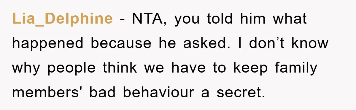 Lia_Delphine − NTA, you told him what happened because he asked. I don’t know why people think we have to keep family members' bad behaviour a secret.