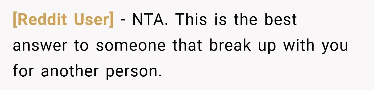 [Reddit User] − NTA. This is the best answer to someone that break up with you for another person.