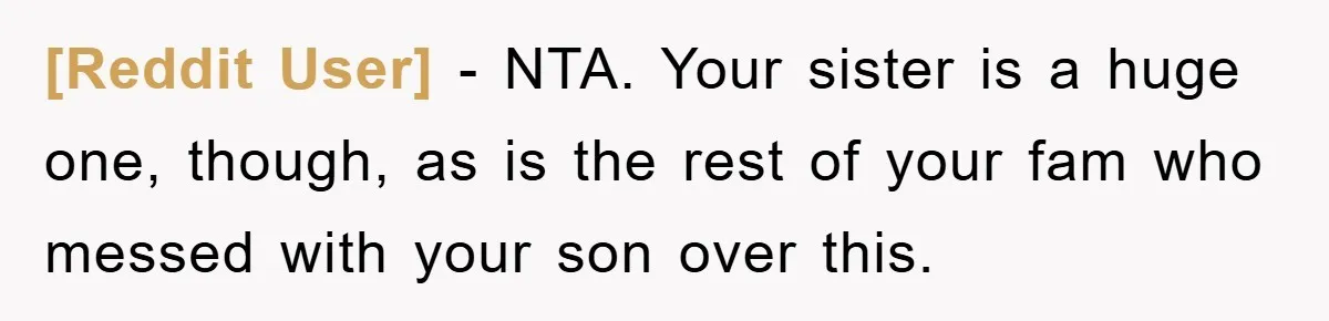 [Reddit User] − NTA. Your sister is a huge one, though, as is the rest of your fam who messed with your son over this.