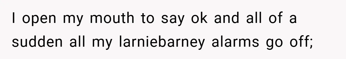 I open my mouth to say ok and all of a sudden all my larniebarney alarms go off;