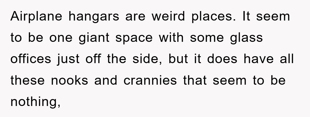 Airplane hangars are weird places. It seem to be one giant space with some glass offices just off the side, but it does have all these nooks and crannies that...