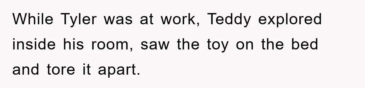 While Tyler was at work, Teddy explored inside his room, saw the toy on the bed and tore it apart.