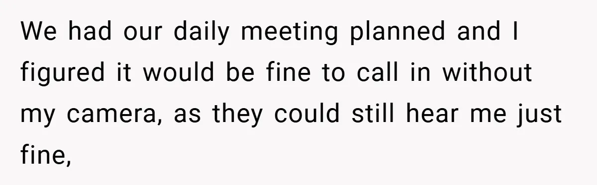 We had our daily meeting planned and I figured it would be fine to call in without my camera, as they could still hear me just fine,