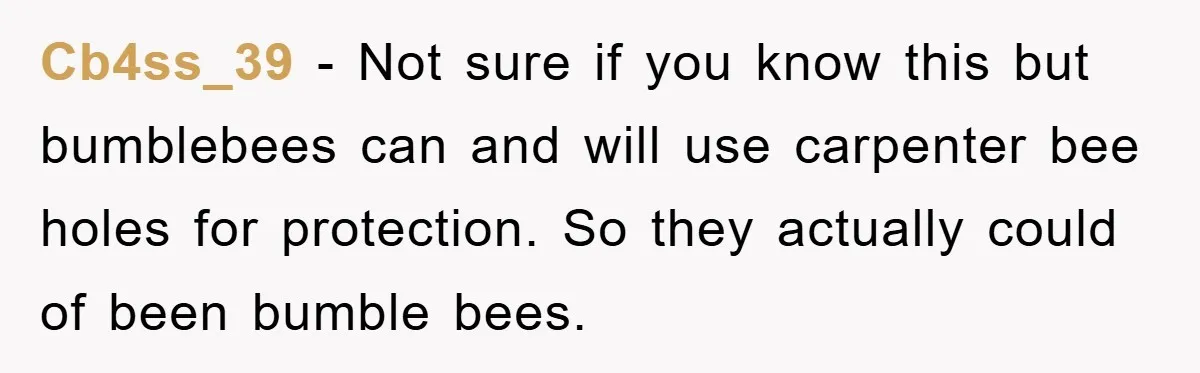 Cb4ss_39 - Not sure if you know this but bumblebees can and will use carpenter bee holes for protection. So they actually could of been bumble bees.