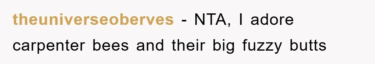 theuniverseoberves - NTA, I adore carpenter bees and their big fuzzy butts