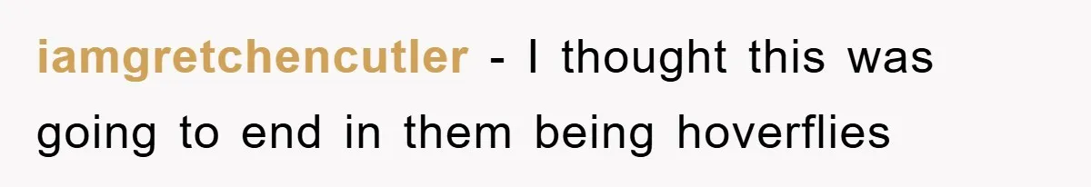 iamgretchencutler - I thought this was going to end in them being hoverflies