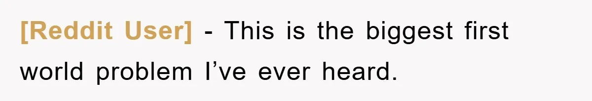 [Reddit User] - This is the biggest first world problem I’ve ever heard.
