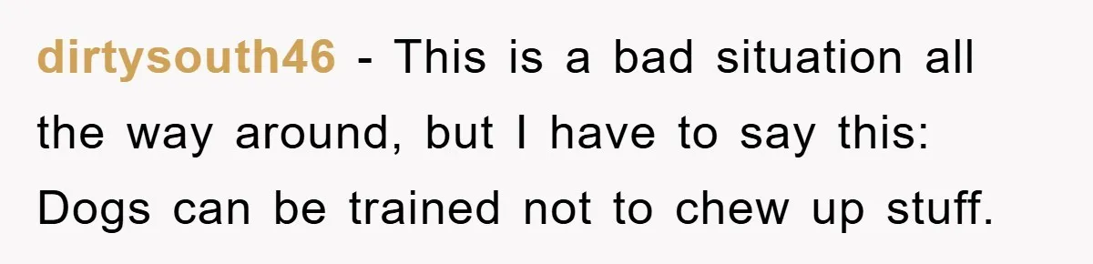 dirtysouth46 − This is a bad situation all the way around, but I have to say this: Dogs can be trained not to chew up stuff.