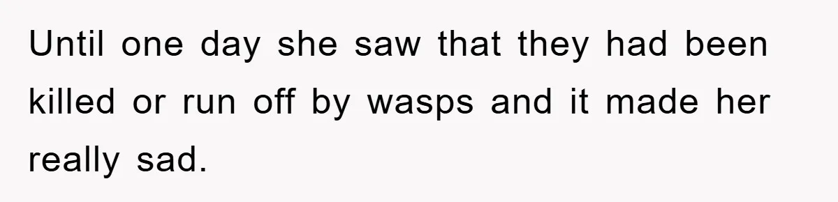 Until one day she saw that they had been killed or run off by wasps and it made her really sad.