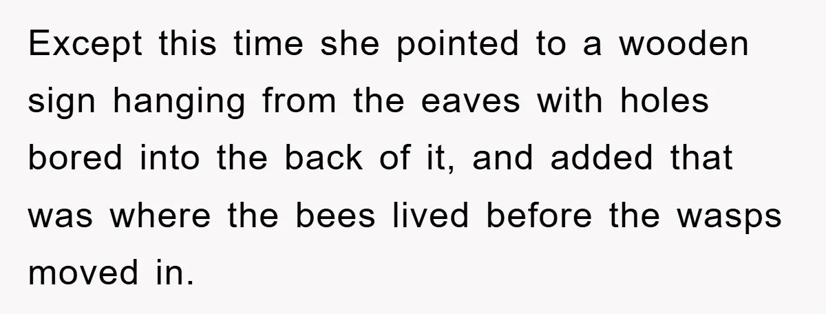 Except this time she pointed to a wooden sign hanging from the eaves with holes bored into the back of it, and added that was where the bees lived before...