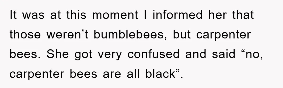 It was at this moment I informed her that those weren’t bumblebees, but carpenter bees. She got very confused and said “no, carpenter bees are all black”.