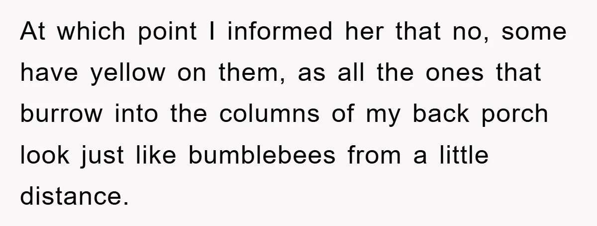 At which point I informed her that no, some have yellow on them, as all the ones that burrow into the columns of my back porch look just like bumblebees...