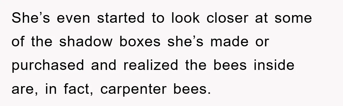 She’s even started to look closer at some of the shadow boxes she’s made or purchased and realized the bees inside are, in fact, carpenter bees.