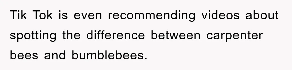Tik Tok is even recommending videos about spotting the difference between carpenter bees and bumblebees.