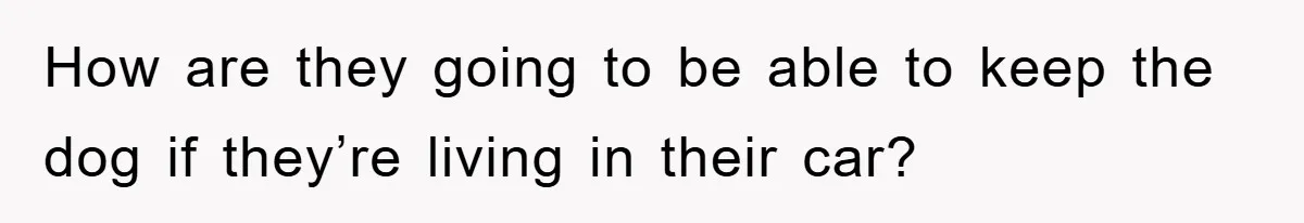 How are they going to be able to keep the dog if they’re living in their car?