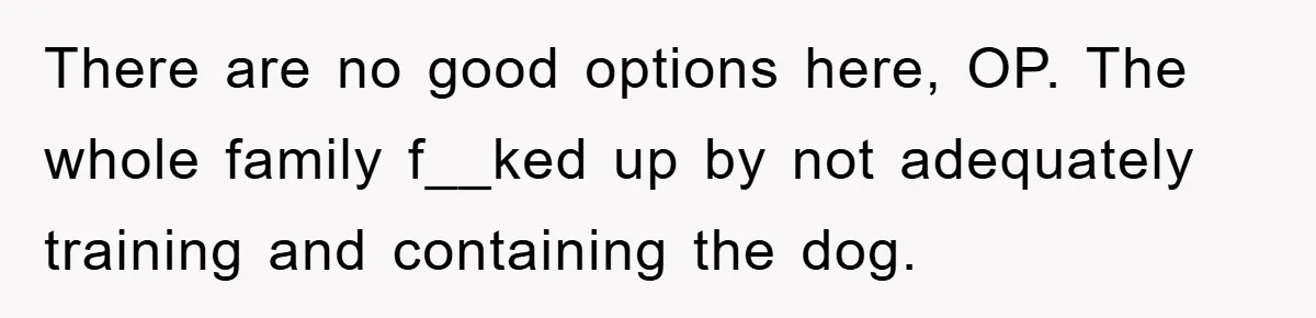 There are no good options here, OP. The whole family f__ked up by not adequately training and containing the dog.