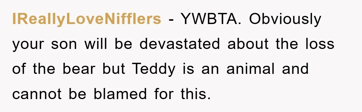 IReallyLoveNifflers − YWBTA. Obviously your son will be devastated about the loss of the bear but Teddy is an animal and cannot be blamed for this.