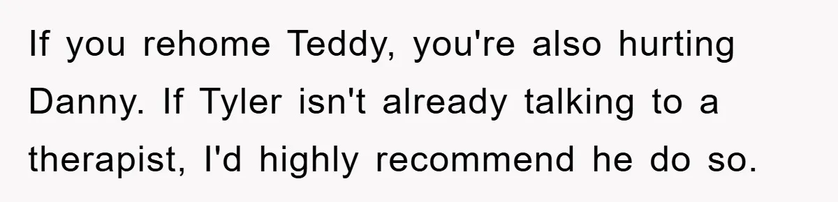If you rehome Teddy, you're also hurting Danny. If Tyler isn't already talking to a therapist, I'd highly recommend he do so.