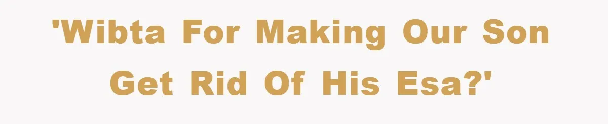 'WIBTA for making our son get rid of his ESA?'