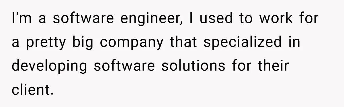 I'm a software engineer, I used to work for a pretty big company that specialized in developing software solutions for their client.