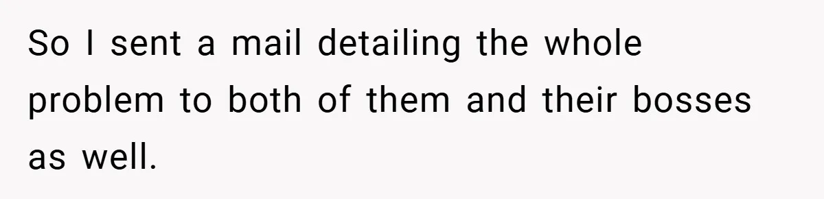 So I sent a mail detailing the whole problem to both of them and their bosses as well.