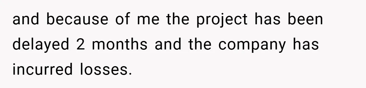and because of me the project has been delayed 2 months and the company has incurred losses.