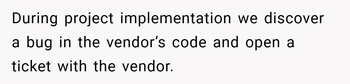 During project implementation we discover a bug in the vendor’s code and open a ticket with the vendor.