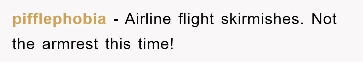 pifflephobia - Airline flight skirmishes. Not the armrest this time!