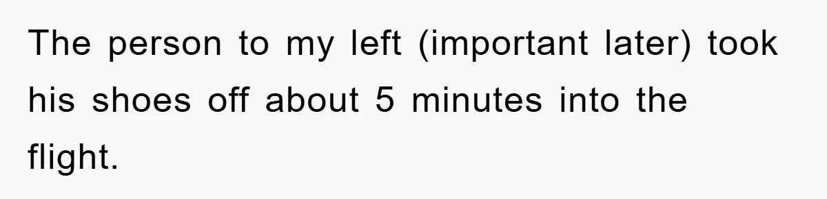 The person to my left (important later) took his shoes off about 5 minutes into the flight.