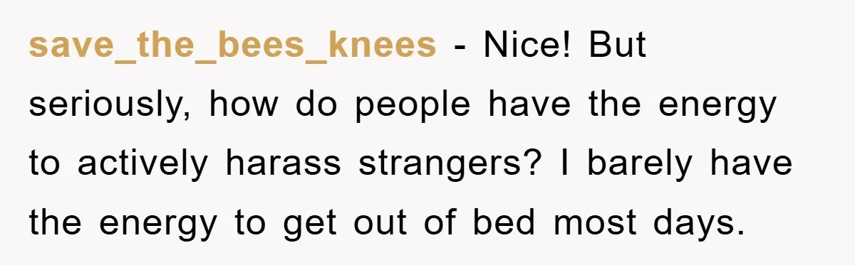 save_the_bees_knees − Nice! But seriously, how do people have the energy to actively harass strangers? I barely have the energy to get out of bed most days.