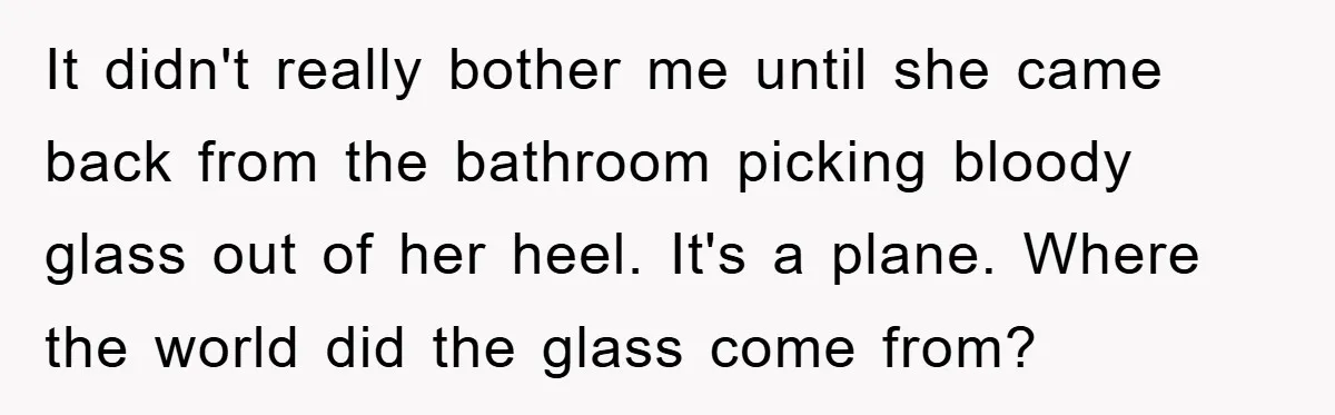 It didn't really bother me until she came back from the bathroom picking bloody glass out of her heel. It's a plane. Where the world did the glass come from?