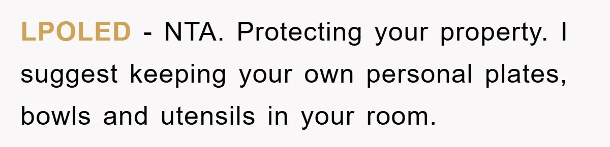LPOLED - NTA. Protecting your property. I suggest keeping your own personal plates, bowls and utensils in your room.
