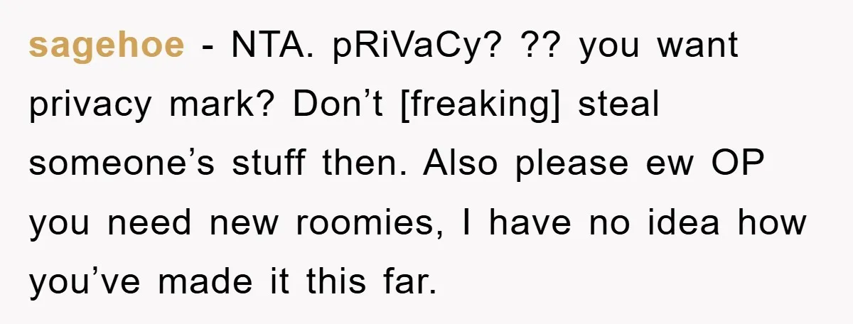 sagehoe - NTA. pRiVaCy? ?? you want privacy mark? Don’t [freaking] steal someone’s stuff then. Also please ew OP you need new roomies, I have no idea how you’ve made...