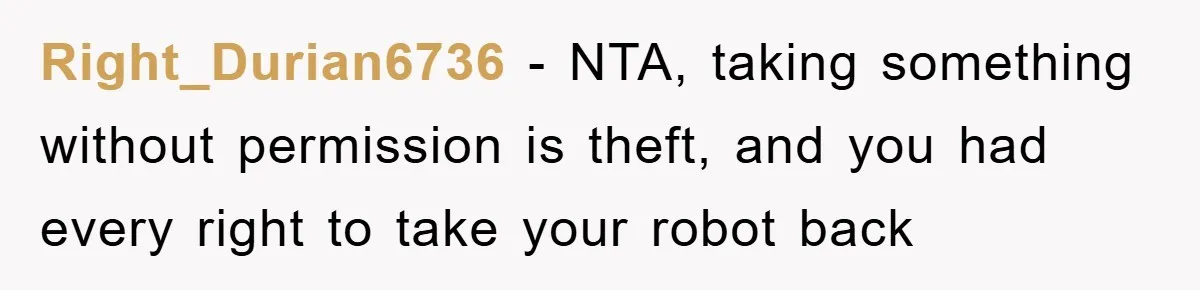 Right_Durian6736 - NTA, taking something without permission is theft, and you had every right to take your robot back