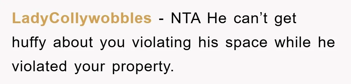 LadyCollywobbles - NTA He can’t get huffy about you violating his space while he violated your property.