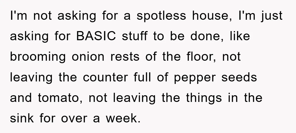 I'm not asking for a spotless house, I'm just asking for BASIC stuff to be done, like brooming onion rests of the floor, not leaving the counter full of pepper...