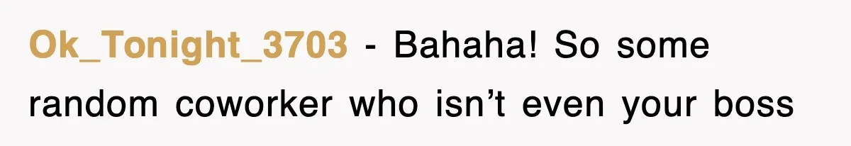 Ok_Tonight_3703 − Bahaha! So some random coworker who isn’t even your boss