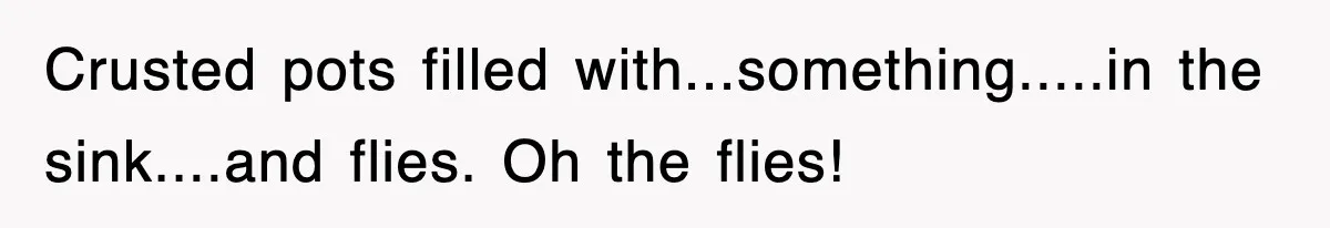 Crusted pots filled with...something.....in the sink....and flies. Oh the flies!