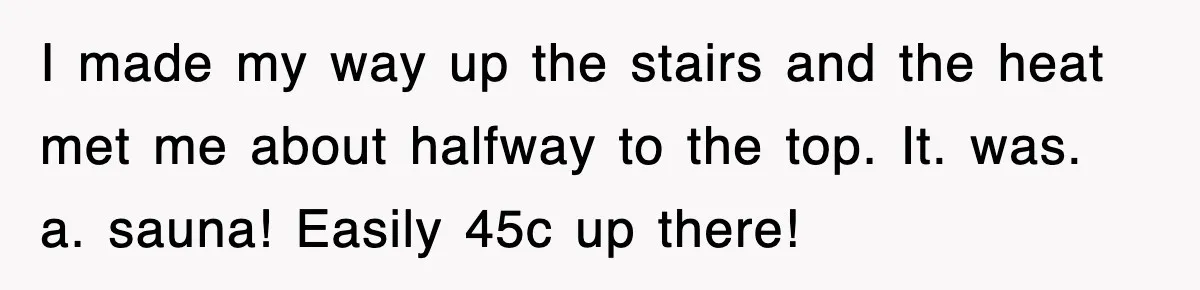 I made my way up the stairs and the heat met me about halfway to the top. It. was. a. sauna! Easily 45c up there!