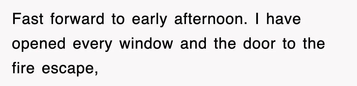 Fast forward to early afternoon. I have opened every window and the door to the fire escape,