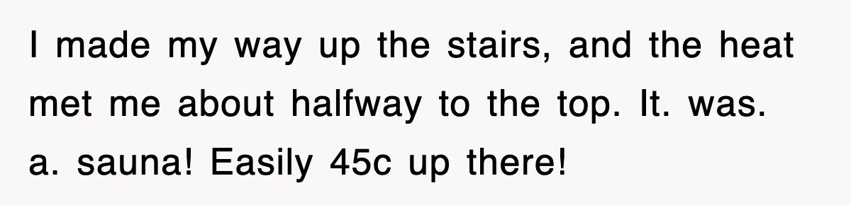 I made my way up the stairs, and the heat met me about halfway to the top. It. was. a. sauna! Easily 45c up there!