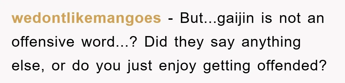 wedontlikemangoes − But...gaijin is not an offensive word...? Did they say anything else, or do you just enjoy getting offended?