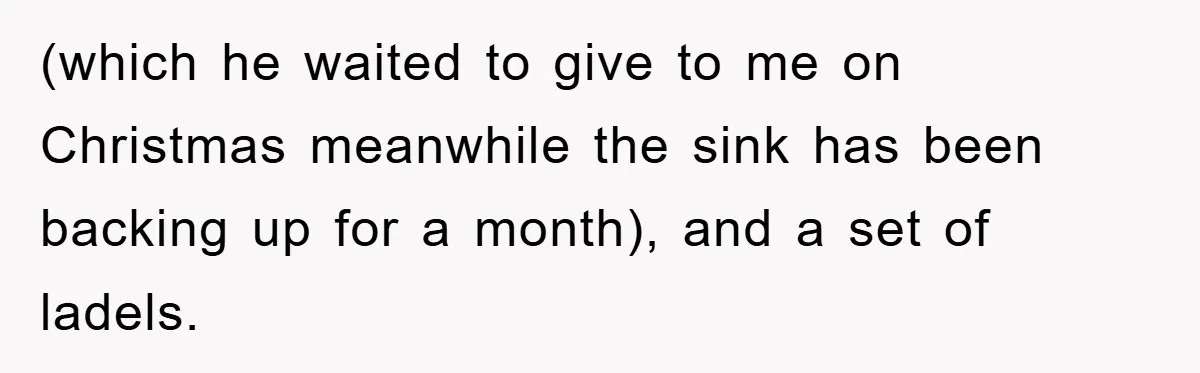 Boyfriend Freeloads In Girlfriend's Home, Skips Chores, Pays Nothing, And Gifts Drain Cleaner For Christmas (which he waited to give to me on Christmas meanwhile the sink has been backing up for a month), and a set of ladels.