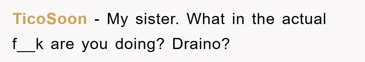 Boyfriend Freeloads In Girlfriend's Home, Skips Chores, Pays Nothing, And Gifts Drain Cleaner For Christmas TicoSoon − My sister. What in the actual f__k are you doing? Draino?