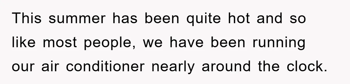 This summer has been quite hot and so like most people, we have been running our air conditioner nearly around the clock.