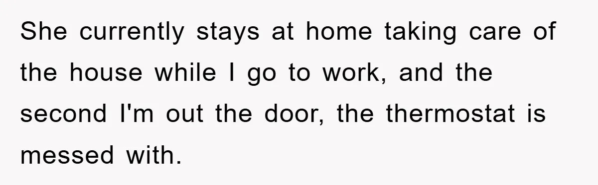 She currently stays at home taking care of the house while I go to work, and the second I'm out the door, the thermostat is messed with.