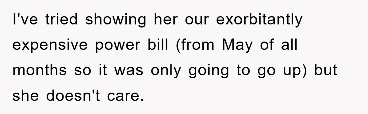 I've tried showing her our exorbitantly expensive power bill (from May of all months so it was only going to go up) but she doesn't care.
