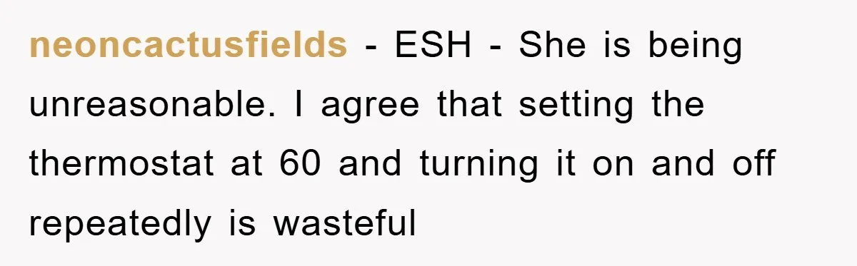 neoncactusfields − ESH - She is being unreasonable. I agree that setting the thermostat at 60 and turning it on and off repeatedly is wasteful