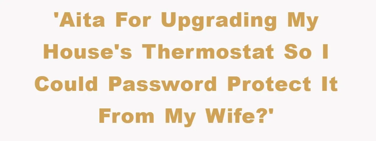 'AITA for upgrading my house's thermostat so I could password protect it from my wife?'
