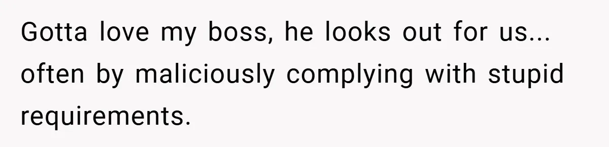 Gotta love my boss, he looks out for us... often by maliciously complying with stupid requirements.